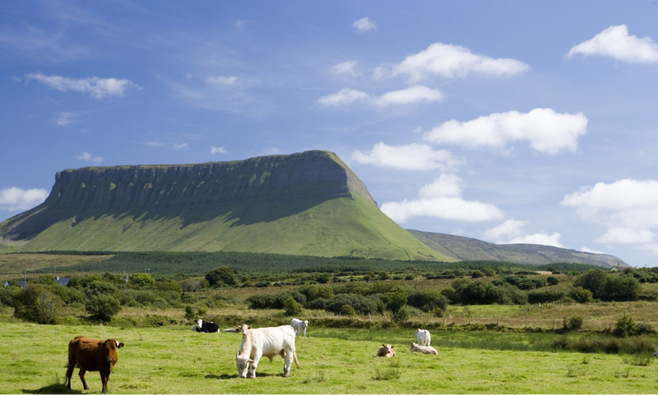 B&B stays in Ireland