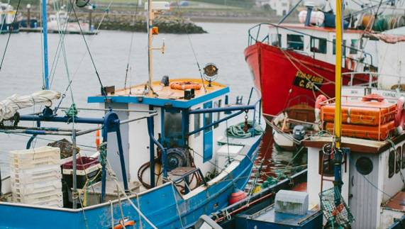 Boats on the water in Dingle Harbour, County Kerry