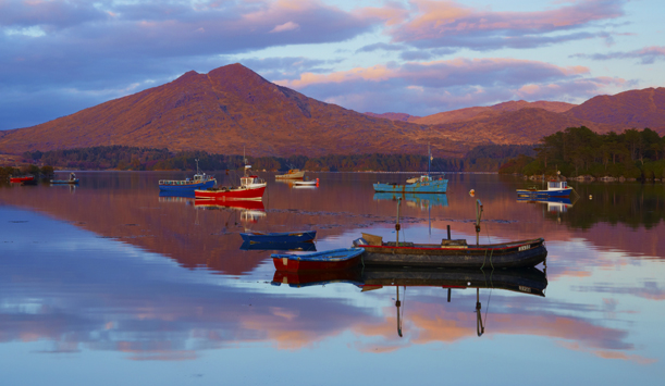 Total serenity at Kenmare Bay