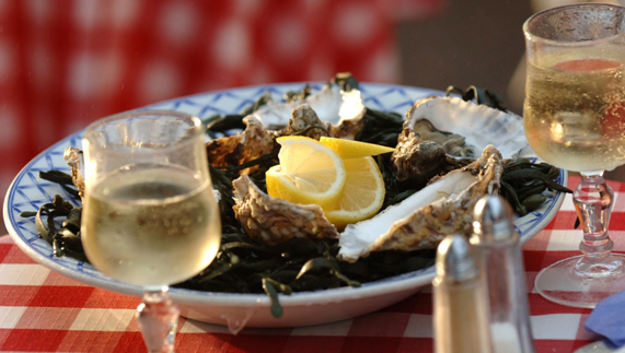 Delicious Galway oysters