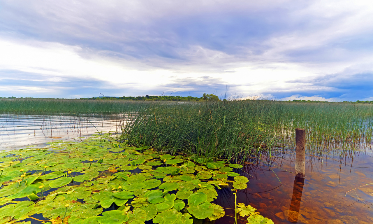 Le couloir du Shannon