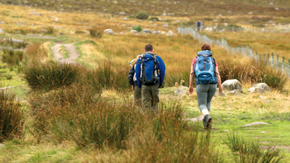 Slieve Binnian, County Down