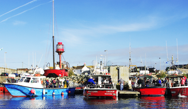 Wexford Harbour