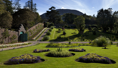 A Connemara garden
