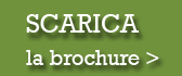Scarica brochure Studiare inglese in Irlanda Scarica brochure Studiare inglese in Irlanda