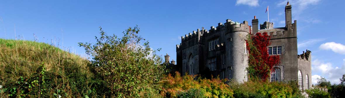 Castillo de Birr