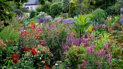 The Dillon Garden by Helen Dillon http://www.dillongarden.com/