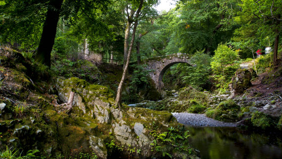Tollymore Forest