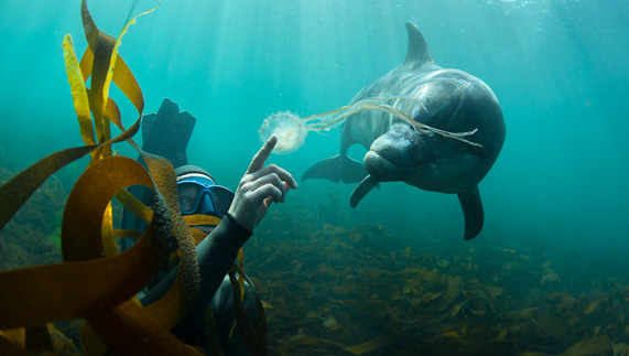 Adventure under the seas in Ireland