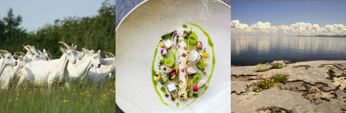 Clare food trails