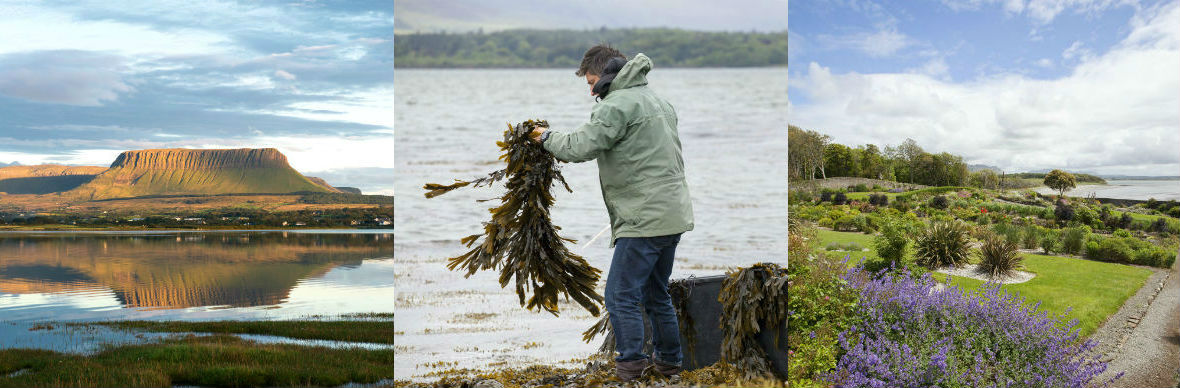 Sligo food trails