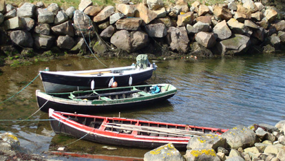 Creative writing summer courses ireland