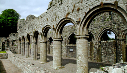 Boyle Abbey, County Roscommon