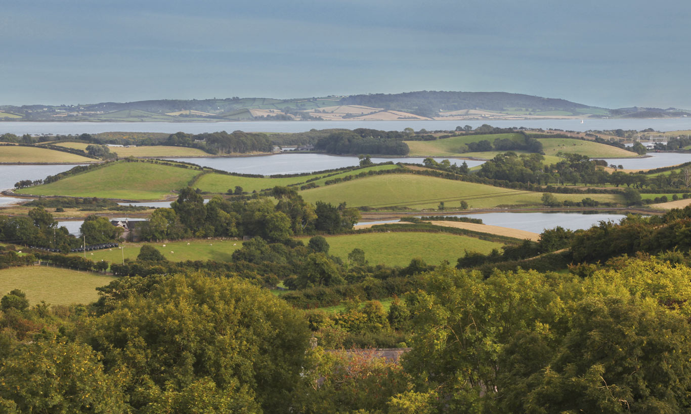 Image result for strangford lough"