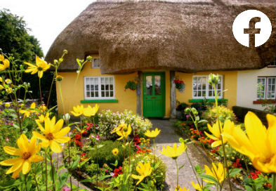 Ireland on Facebook
