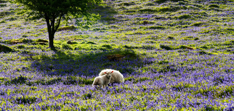 Glenariff, County Antrim