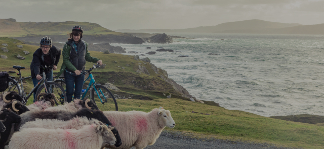 Irland mit Ihrem Wohnmobil oder Wohnwagen erkunden | Ireland.com