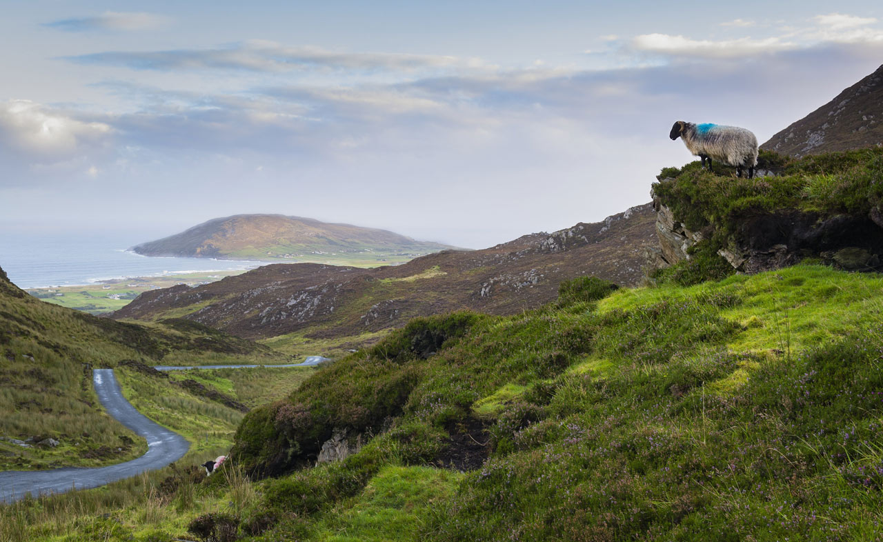 Attēlu rezultāti vaicājumam “Inishowen”