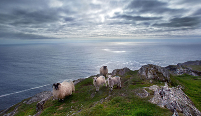 The Southern Peninsulas