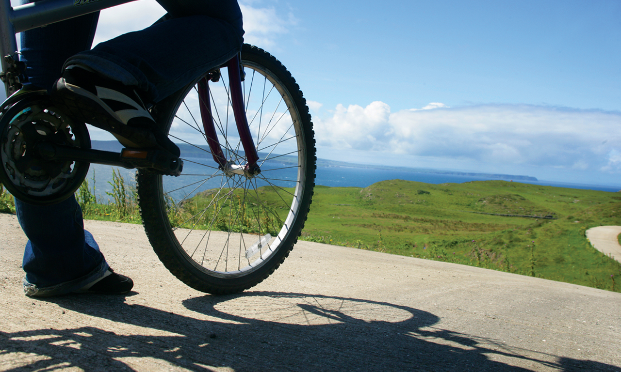 come sono le biciclette greenway cycles