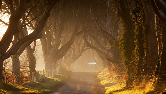 Immagini d'Irlanda: tramonti invernali  Ireland.com